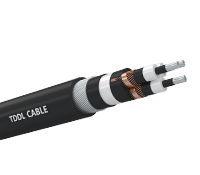 CU(AL)/XLPE/CWS/SWA/PVC  Three Core 6.6~33kV